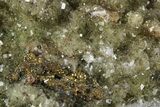 Gemmy Yellow Fluorite Crystals with Chaclopyrite - Spain #255712-1